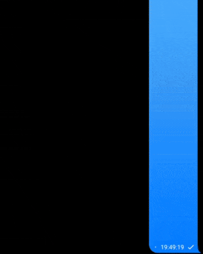 Raid screenshot example